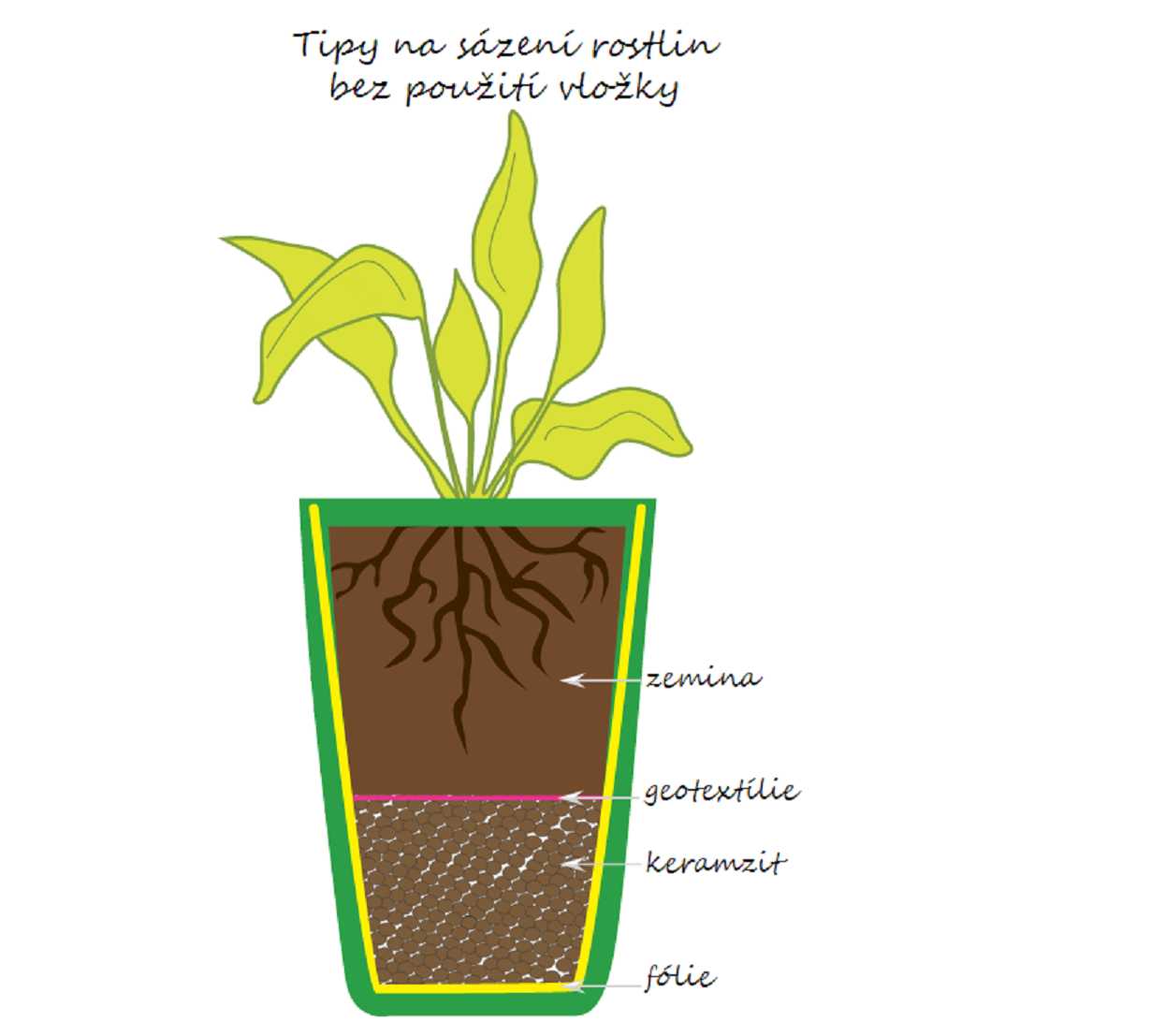 tipy na sázení rostlin bez vnitřní plastové vložky