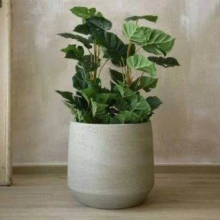 👉Novinka - pokojový květináč SASSO v přírodní barvě. 👉Minimalistický design do moderního i klasického interiéru 👉Stylová...